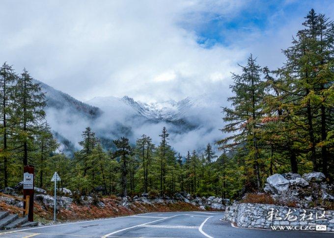 公私募基金齐上阵 密集调研医药及科技公司