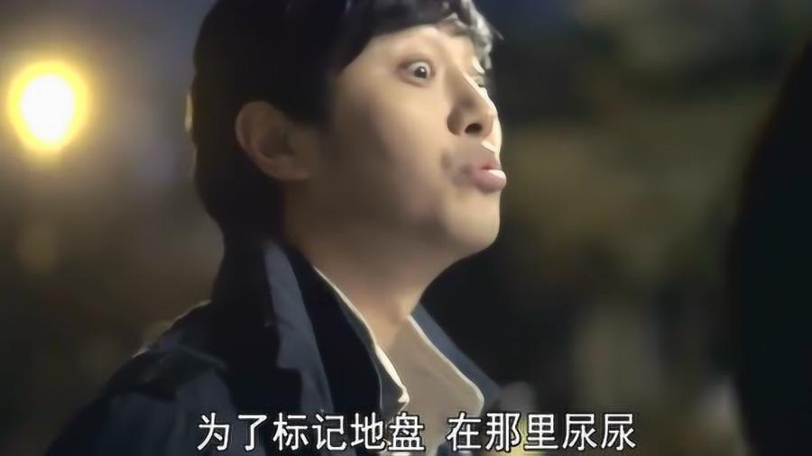 楚庄王是在哪一场战役之中，奠定了霸主之位的？